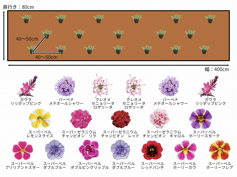 花壇の配置例　PW