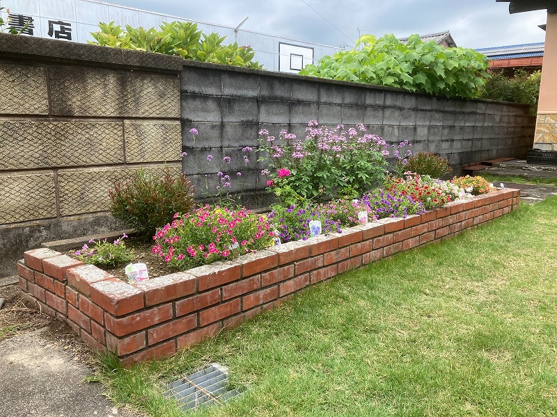 PWの花苗で植えた花壇