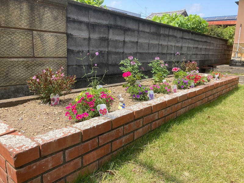 PWの花苗で植えた花壇